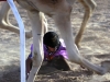 credit-jl-winters-anti-slavery-international-child-camel-jockeys-in-uae-2010-2